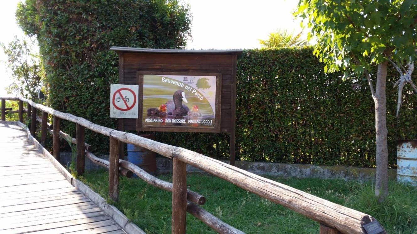 Villa Twetty Massaciuccoli Bagian luar foto